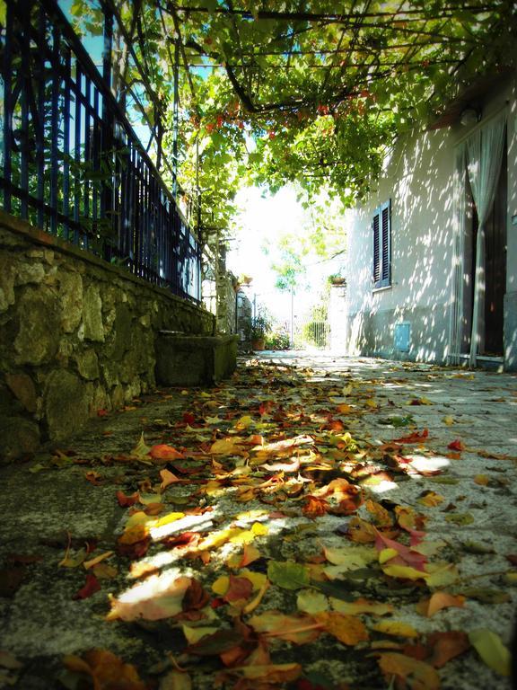 Guest House Il Borgo Di Sempronio センプロニアーノ エクステリア 写真